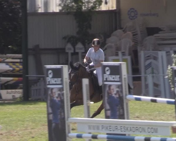 Springpferd Wotherspoon (KWPN (Niederländisches Warmblut), 2003, von Perion)