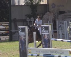 jumper Wotherspoon (KWPN (Royal Dutch Sporthorse), 2003, from Perion)