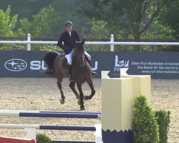 jumper Lesotho 13 (Bavarian, 2005, from La Pilot)