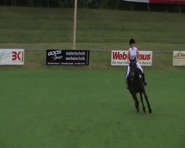 dressage horse Lando C (Württemberger, 2000, from Lancaster)