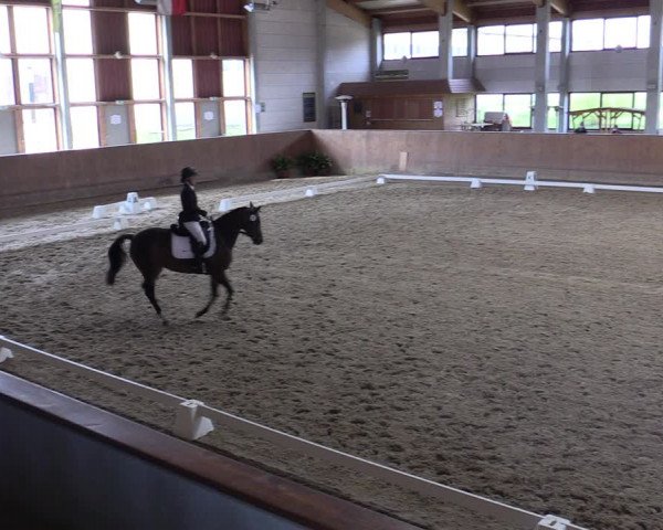 Reitturnier Prussendorf 2021