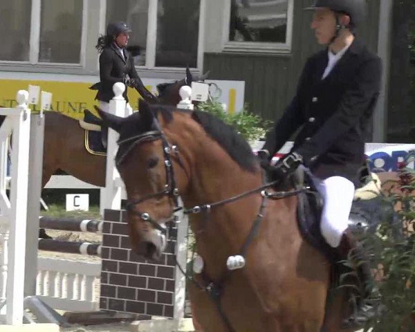 broodmare L' Ami De Chanel (Oldenburg, 2003, from Lordanos)