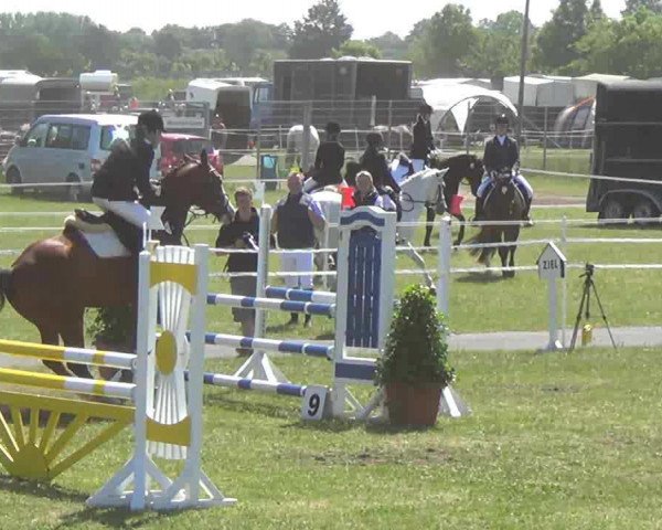 dressage horse Lotto King Karl (Westphalian, 2006, from Lord Sinclair I)