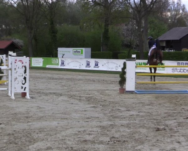 Reitturnier Münster-Handorf 2021