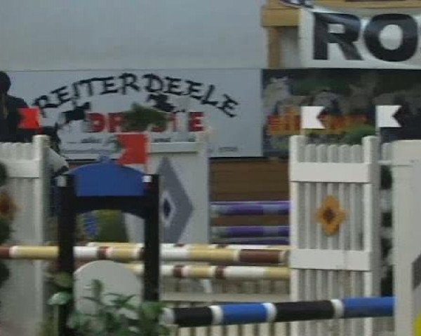 jumper Nature One (German Riding Pony, 2003, from Nobelprinz)