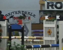 Springpferd Nature One (Deutsches Reitpony, 2003, von Nobelprinz)