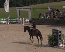 jumper Freixenet 38 (Oldenburg, 1998, from Florestan I)