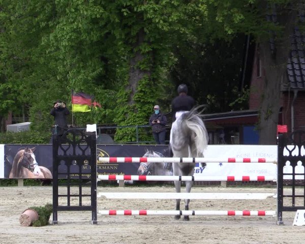 Reitturnier Münster-Handorf 2021