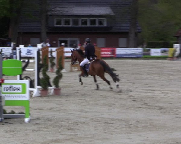 Reitturnier Münster-Handorf 2021