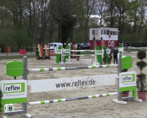 Reitturnier Münster-Handorf 2021