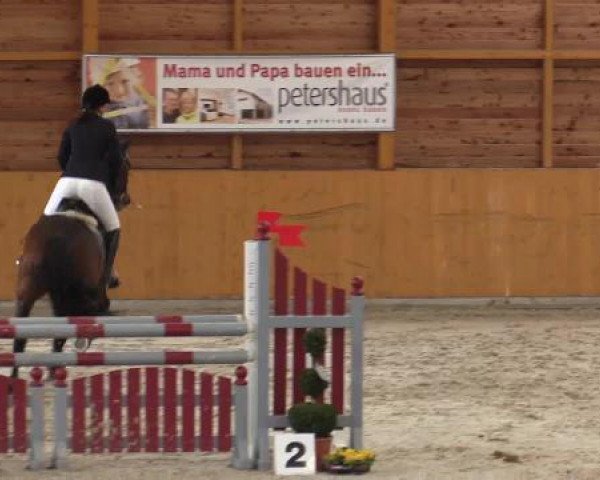 jumper Ronaldo 197 (KWPN (Royal Dutch Sporthorse), 1998, from Kennedy)