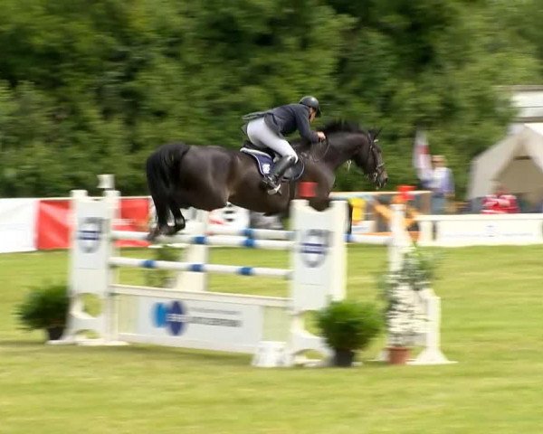 broodmare Escada 166 (Hanoverian, 2003, from Embassy I)