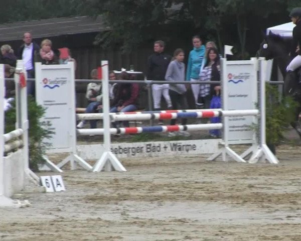 jumper It's me du Melb (Westphalian, 2005, from It's me du Mesnil)