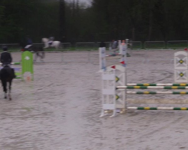 Reitturnier Prussendorf 2021