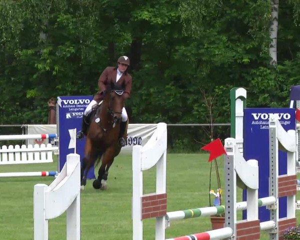jumper Uluru (Württemberger, 2004, from Urleven Pironniere)