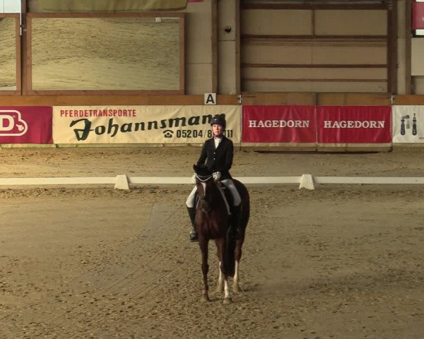 Steinhagen Classics 2021