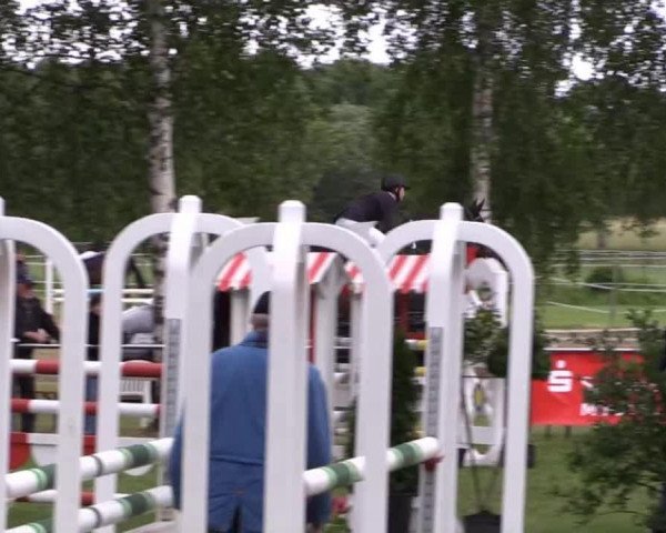 jumper French Kiss RH (Westphalian, 2003, from Fürst Piccolo)