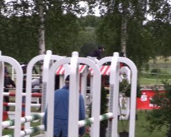 jumper French Kiss RH (Westphalian, 2003, from Fürst Piccolo)