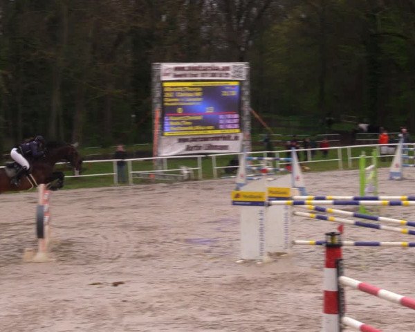 Reitturnier Prussendorf 2021