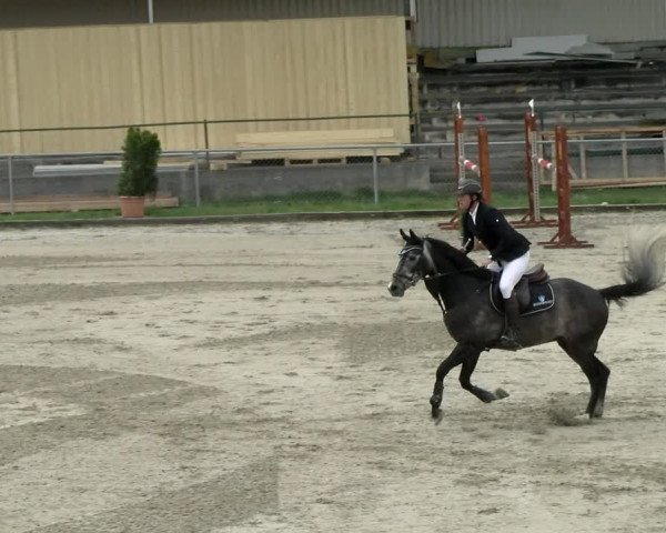Reitturnier Schaffhausen 2021