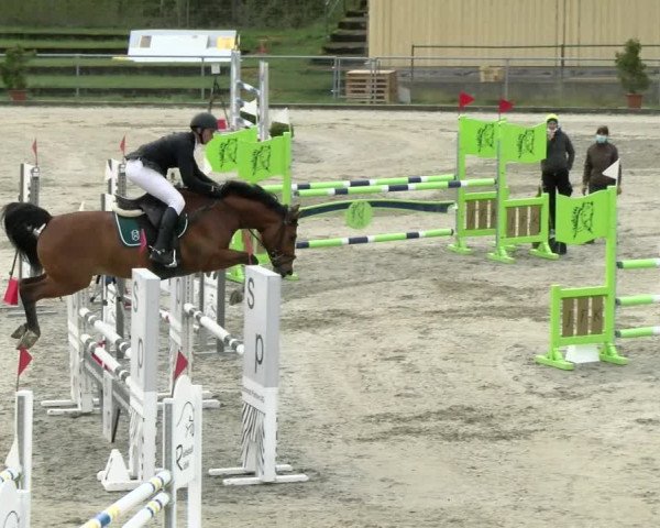 Reitturnier Schaffhausen 2021