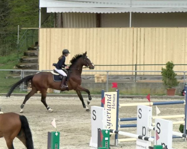 Reitturnier Schaffhausen 2021