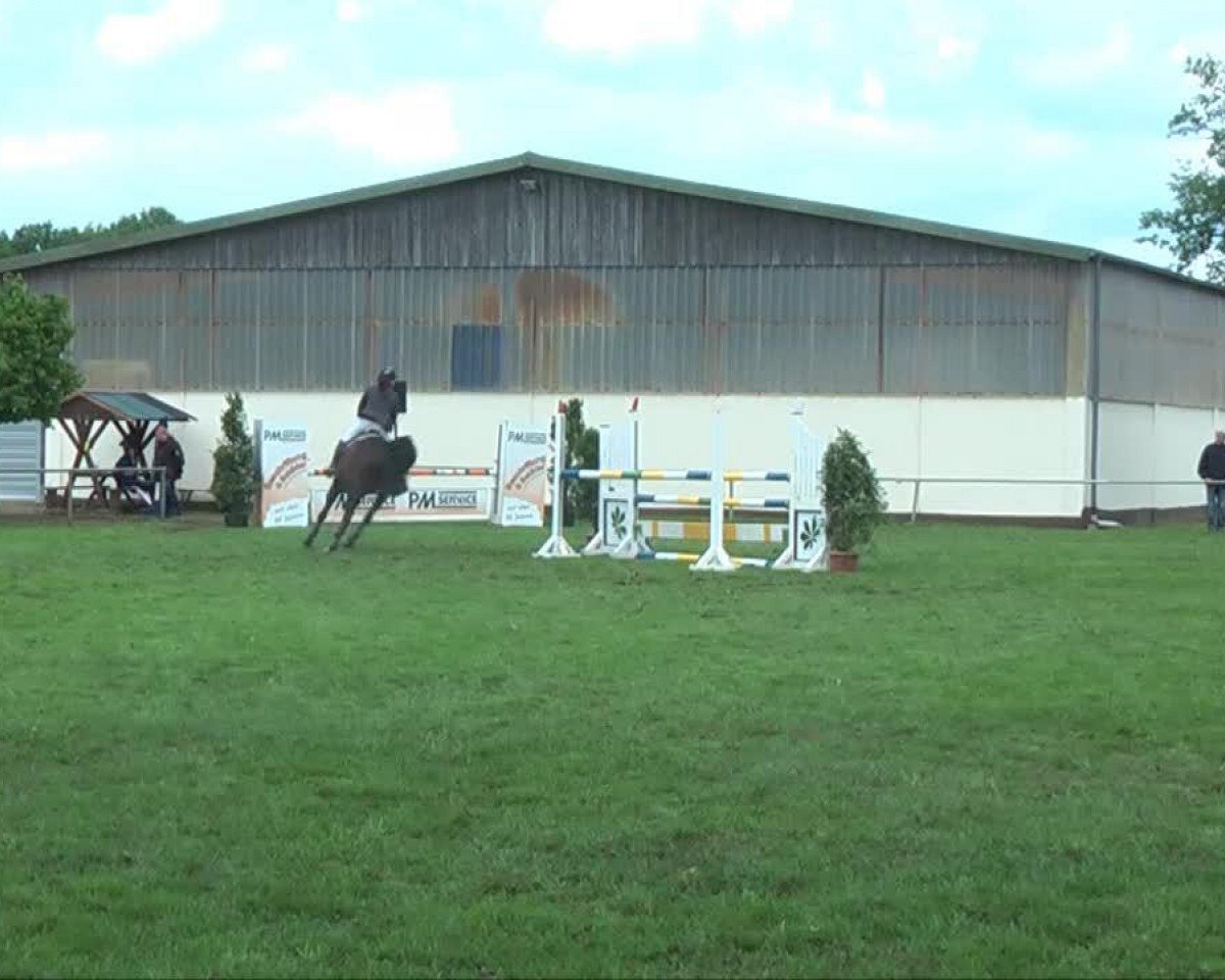 Springpferd Polakito (Westfale, 1998, von Polany)