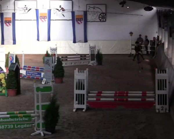 dressage horse Snowflake (Hanoverian, 1999, from Hasko)