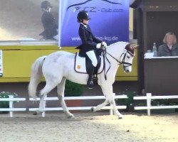 broodmare Barcelona 38 (Welsh-Pony (Section B), 2002, from Constantin)