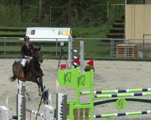 Reitturnier Schaffhausen 2021