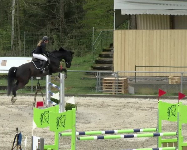 Reitturnier Schaffhausen 2021