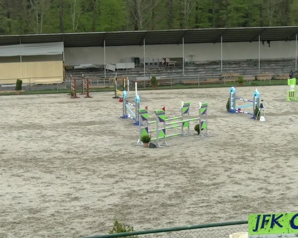 Reitturnier Schaffhausen 2021