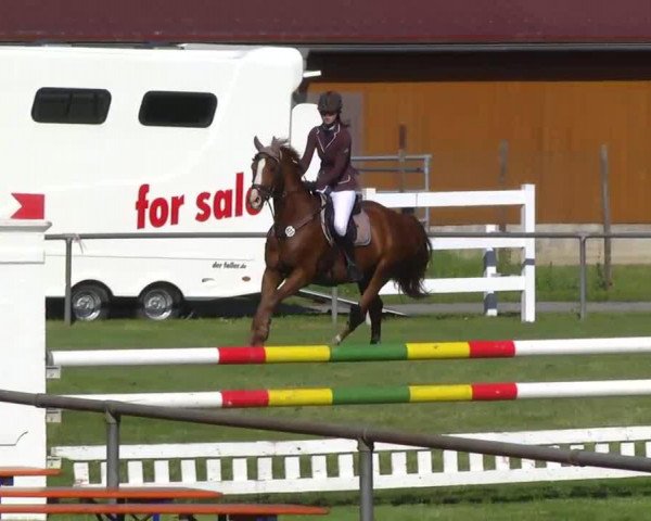 jumper Leopold (Oldenburg, 2002, from Lordanos)