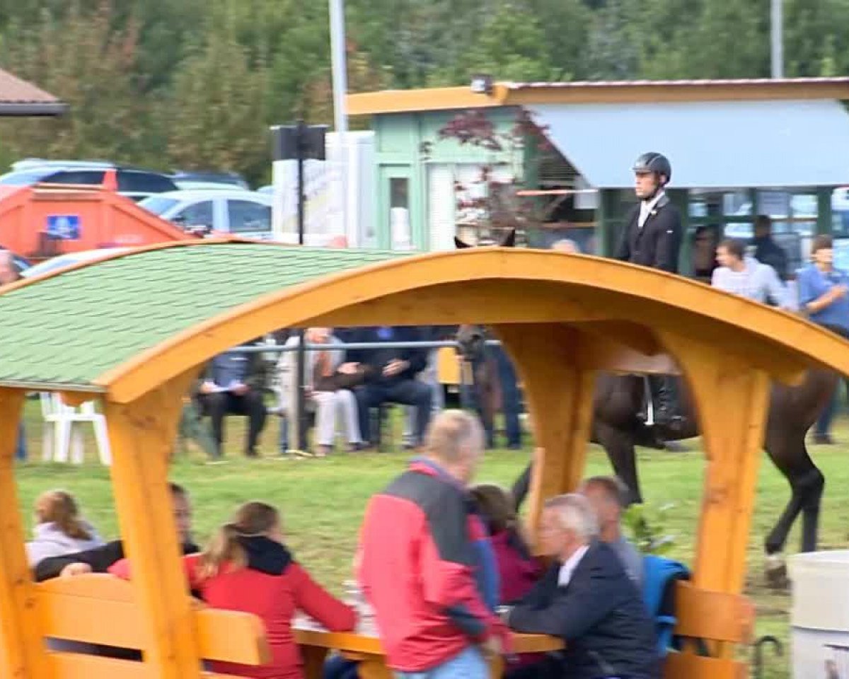 Tenyészkanca Quibell 4 (Oldenburger ugróló, 2003, Feladó: Quidam's Rubin)