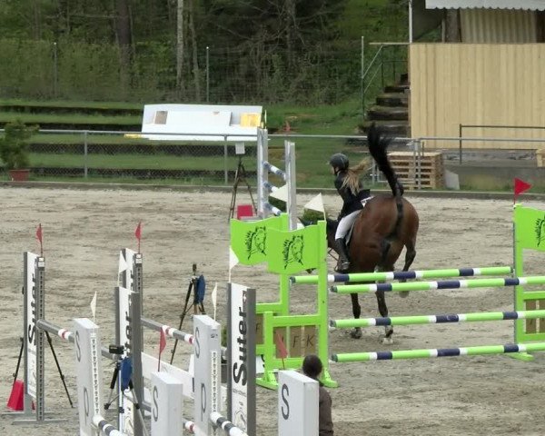 Reitturnier Schaffhausen 2021