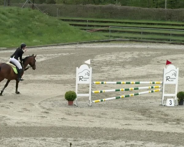Reitturnier Schaffhausen 2021