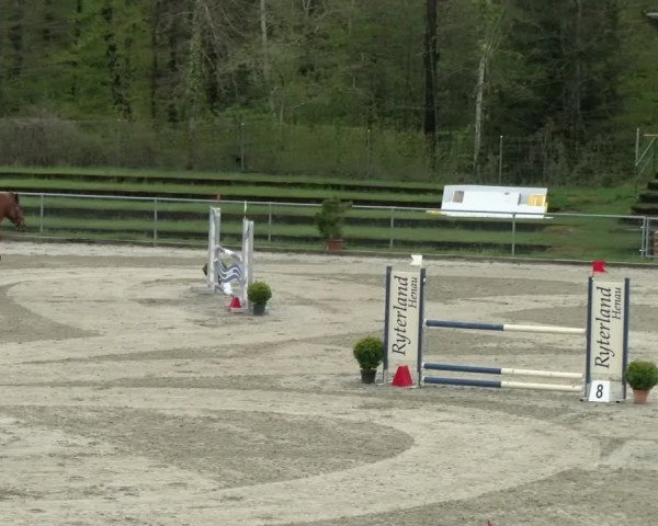 Reitturnier Schaffhausen 2021
