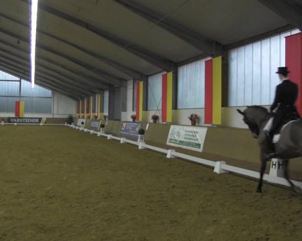 broodmare Flying Lady 3 (Westphalian, 2000, from Florestan I)