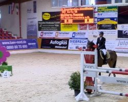 jumper Curly 56 (Hanoverian, 2005, from Contendro I)