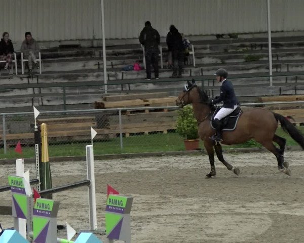 Reitturnier Schaffhausen 2021