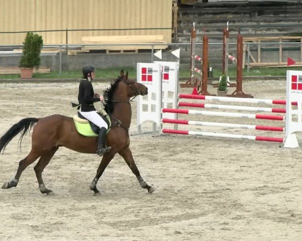 Reitturnier Schaffhausen 2021