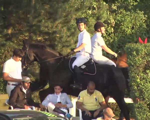 jumper Goa 20 (Hanoverian, 2000, from Graf Grannus)