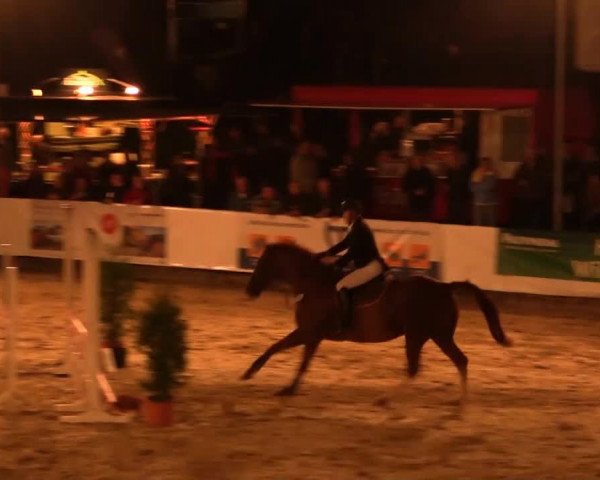 jumper Simply Red (Mecklenburg, 1996, from Solar)
