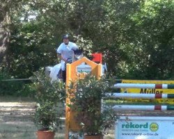 jumper Clain (Holsteiner, 1996, from Coronado I)
