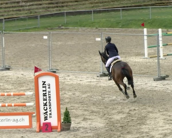 Reitturnier Schaffhausen 2021