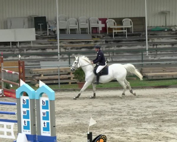 Reitturnier Schaffhausen 2021
