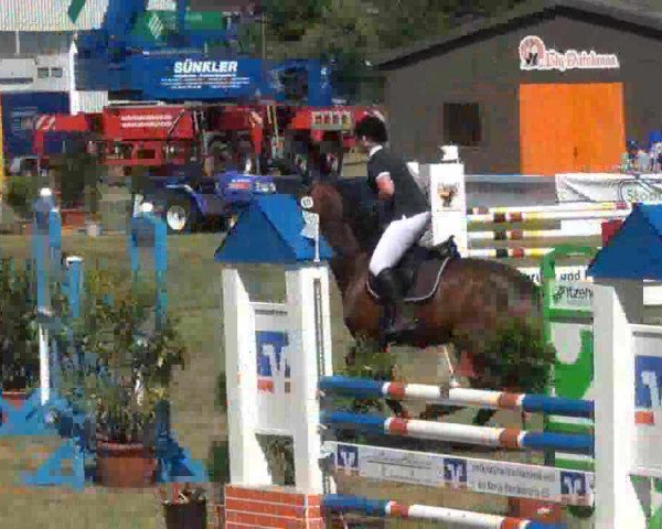 broodmare Tiziana 11 (Holsteiner, 2003, from Silvano)