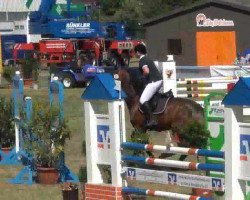 broodmare Tiziana 11 (Holsteiner, 2003, from Silvano)