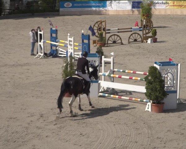 Reitturnier Monheim - Gut Blee 2021