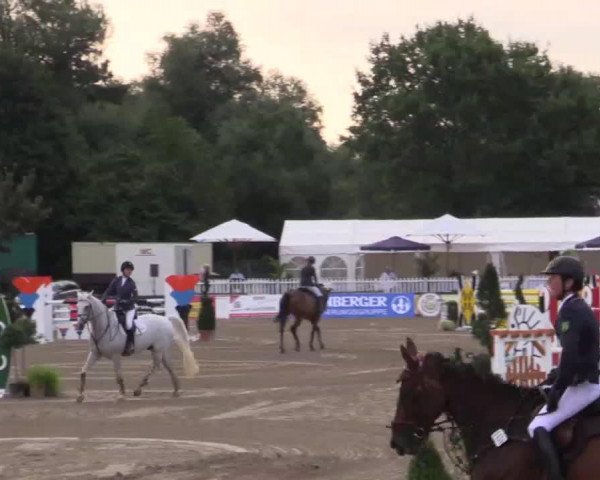 jumper Landino G (Westphalian, 2002, from Lancer III)
